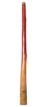 Tristan O'Meara Didgeridoo (TM360)